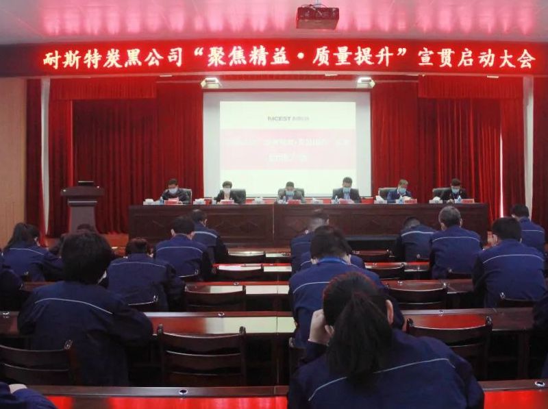 耐斯特炭黑公司组织召开“聚焦精益 质量提升”宣贯启动大会